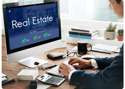 Real Estate Consultant